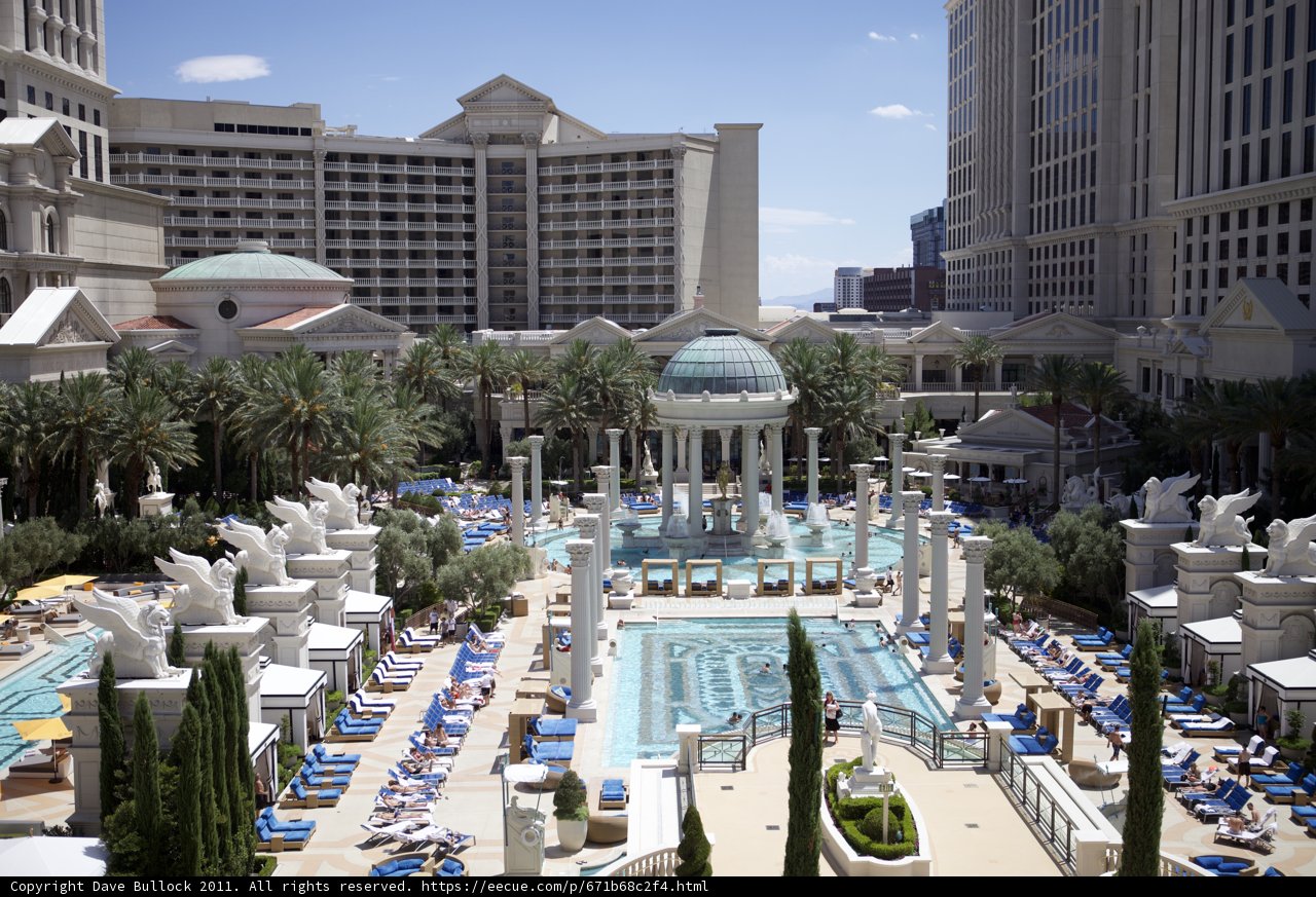 The Urban Oasis