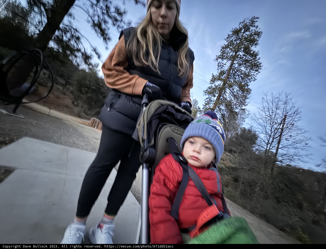 Winter Stroll with Wesley