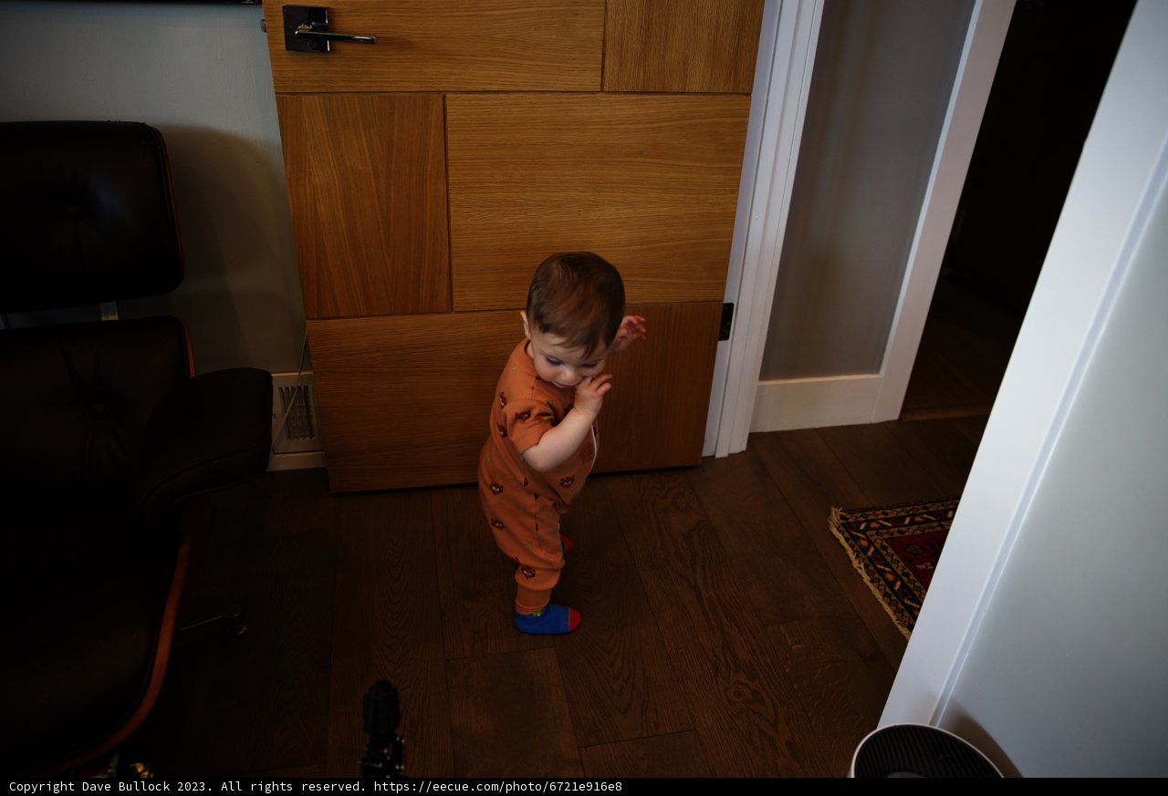 Tiny Explorer in a Cozy Living Space