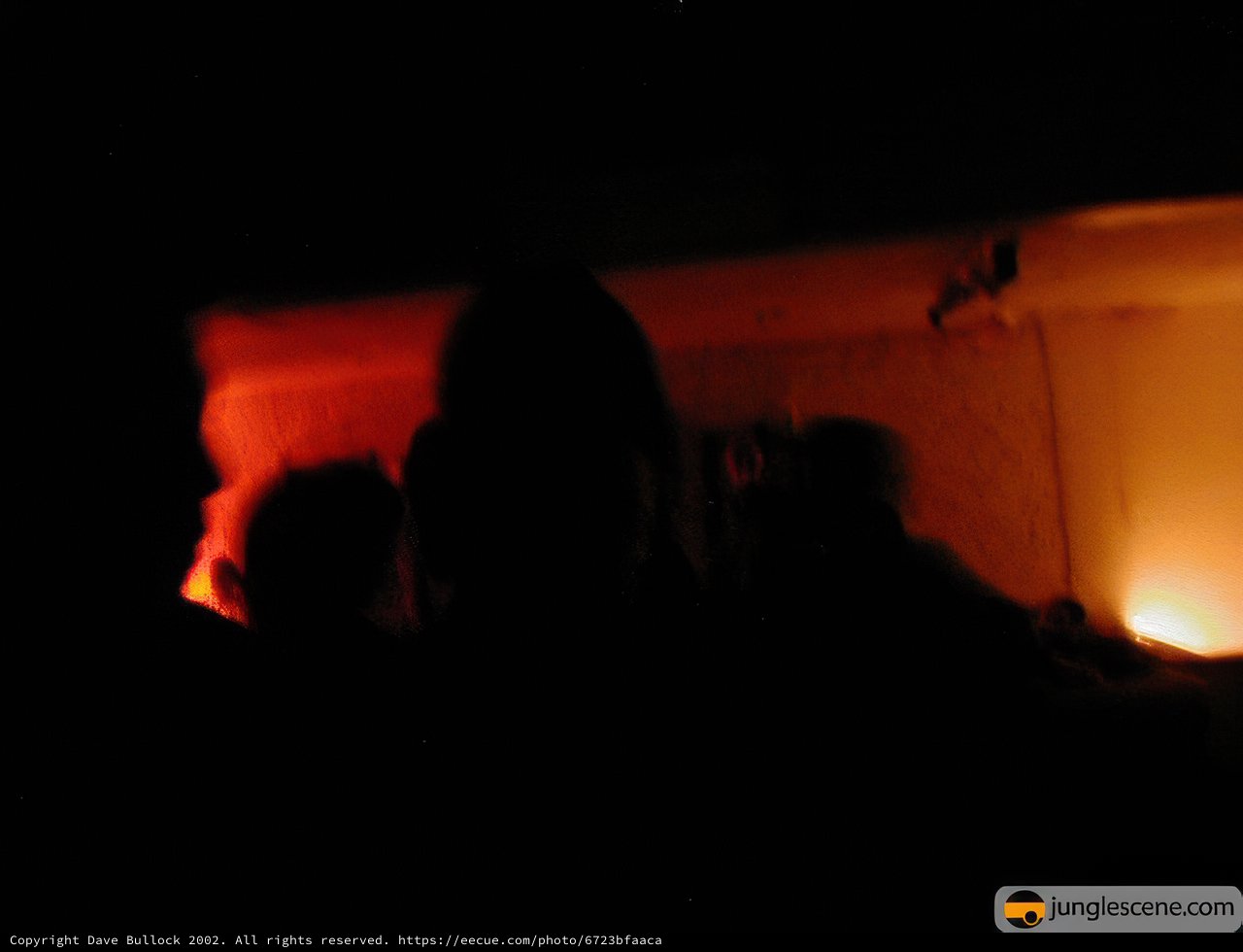 Silhouettes in the Flame