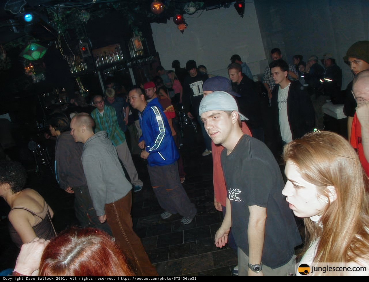 Nightclub Gathering