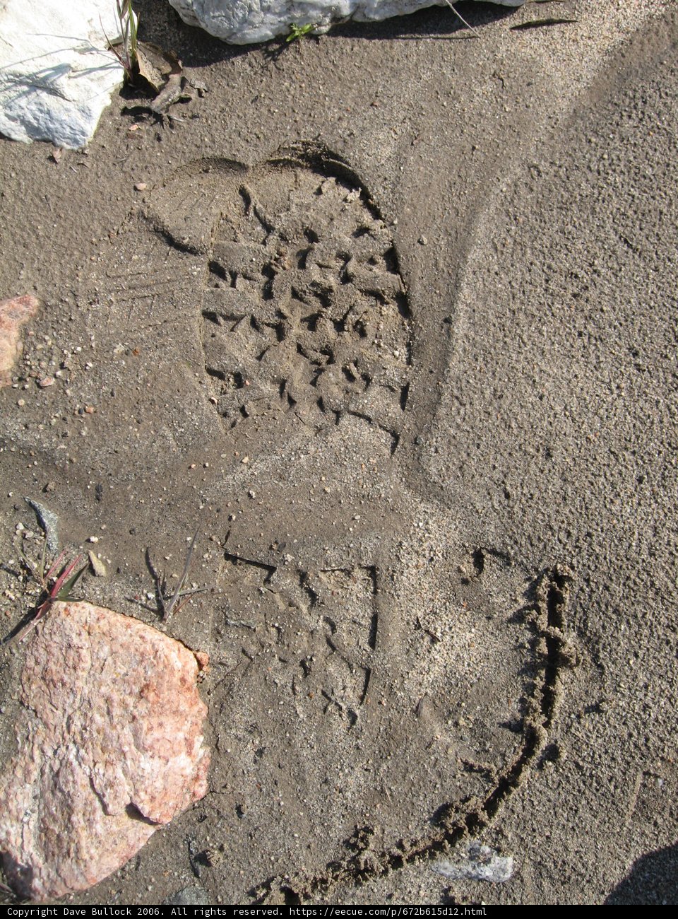 Imprints in the Sand