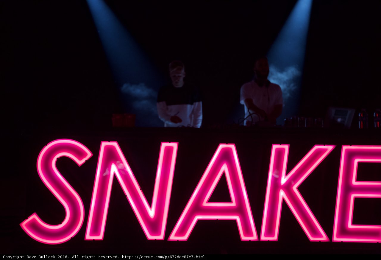 Snake's Den