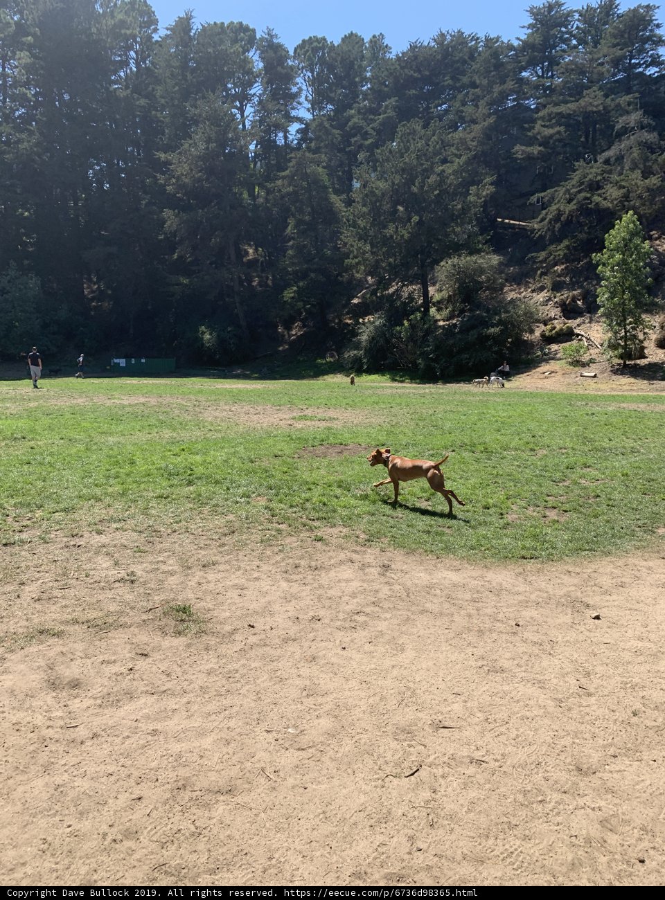 Running Free