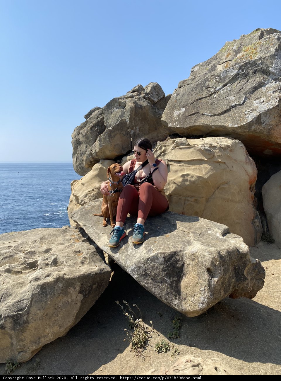 Girl and Her Dog perched on a Rock overlooking the Ocean