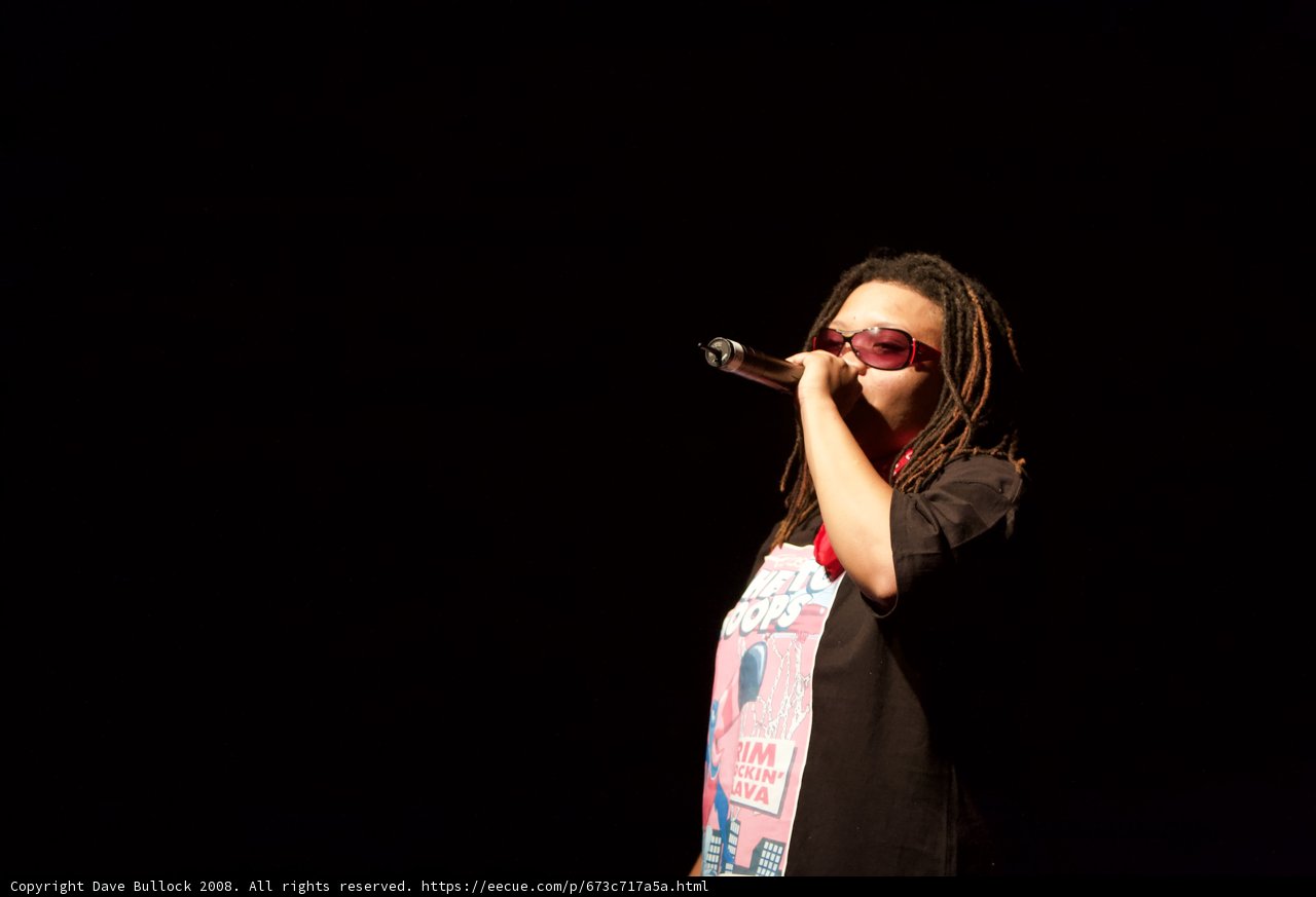 The Lyrical Dreadlock Princess