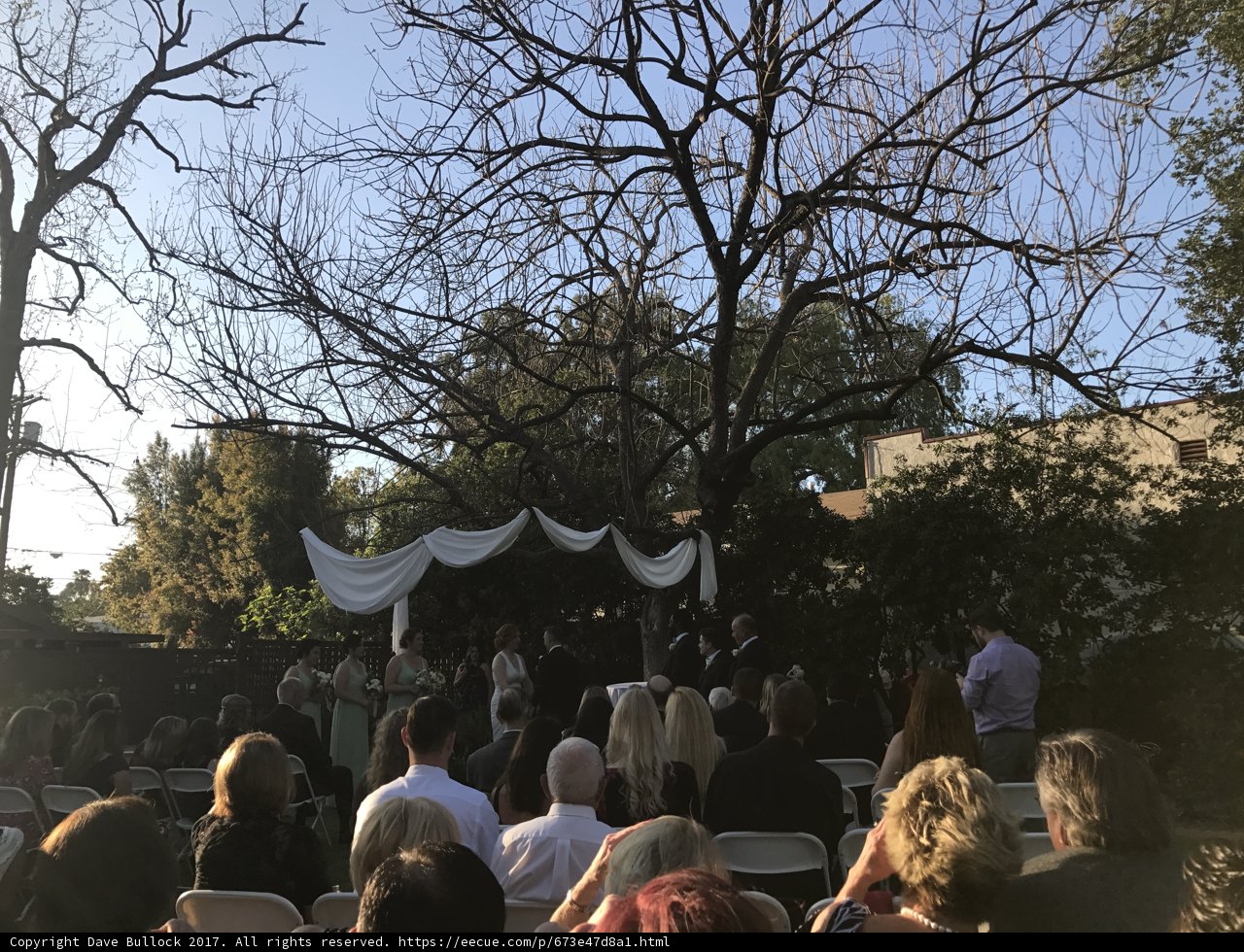 A Dreamy Wedding Beneath the Tree