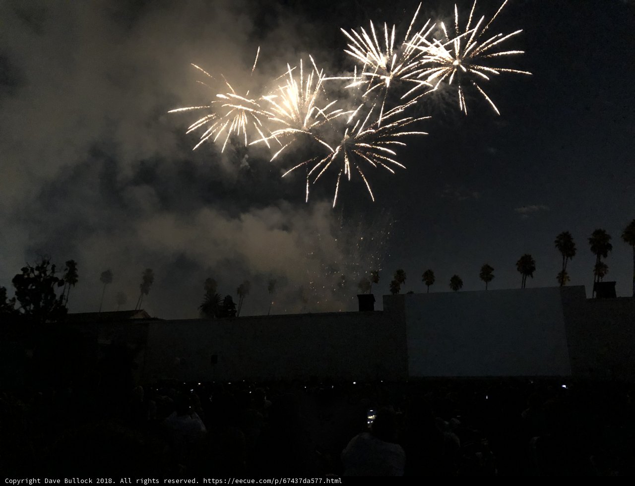 Pyrotechnics Illuminating the Night Sky