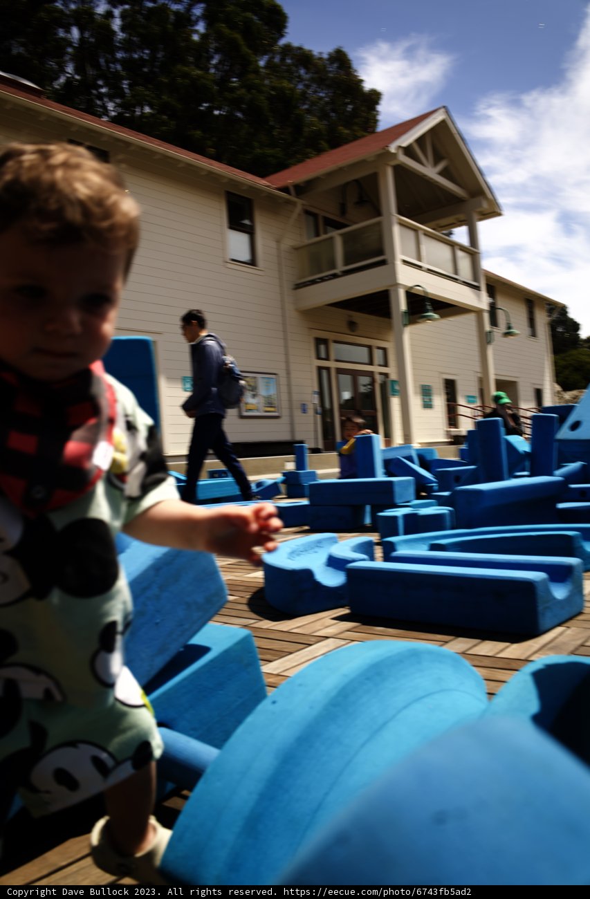 Childhood Wanderlust: Play Time Chronicles