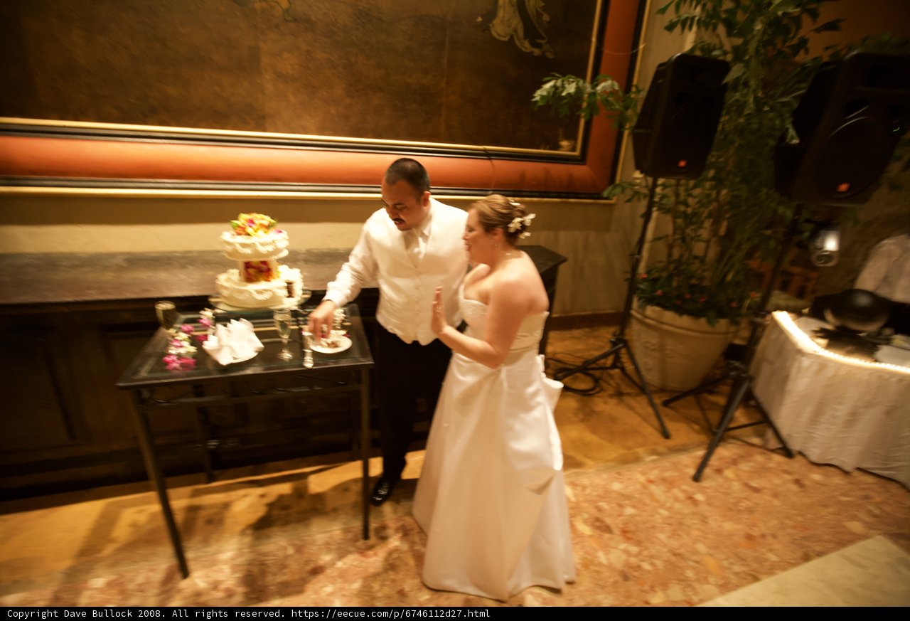 Wedding Cake Celebration
