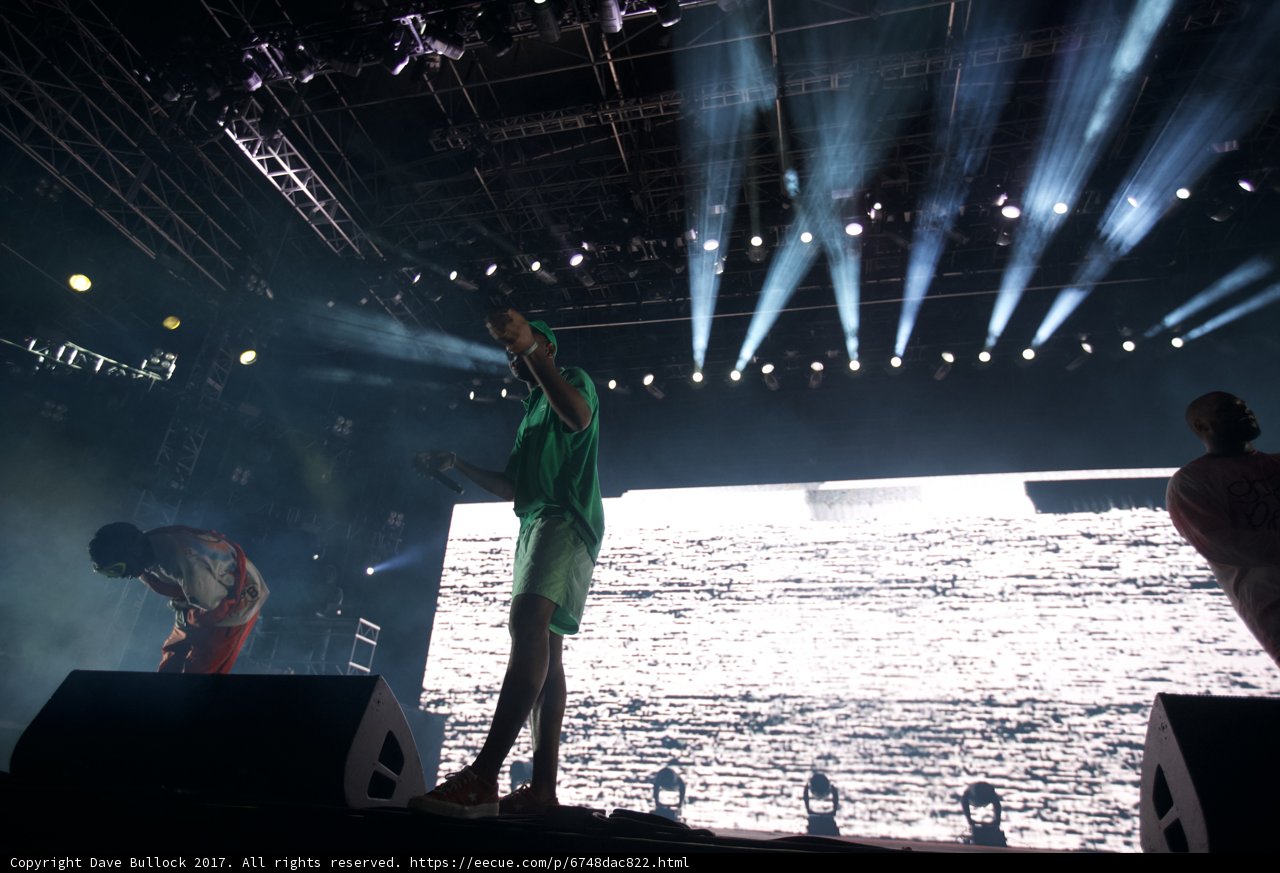 Rocking the Crowd at Coachella