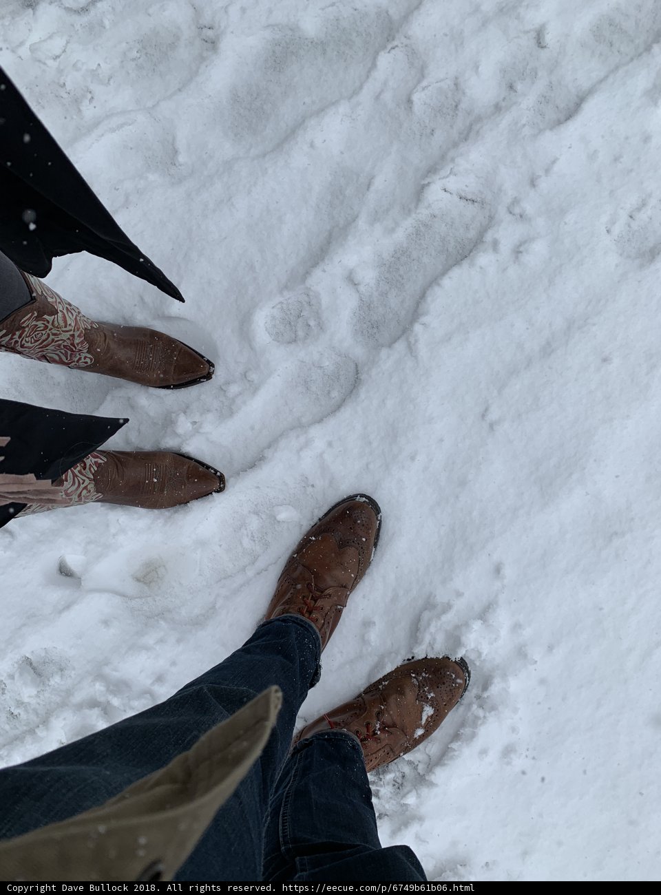 Winter Walk