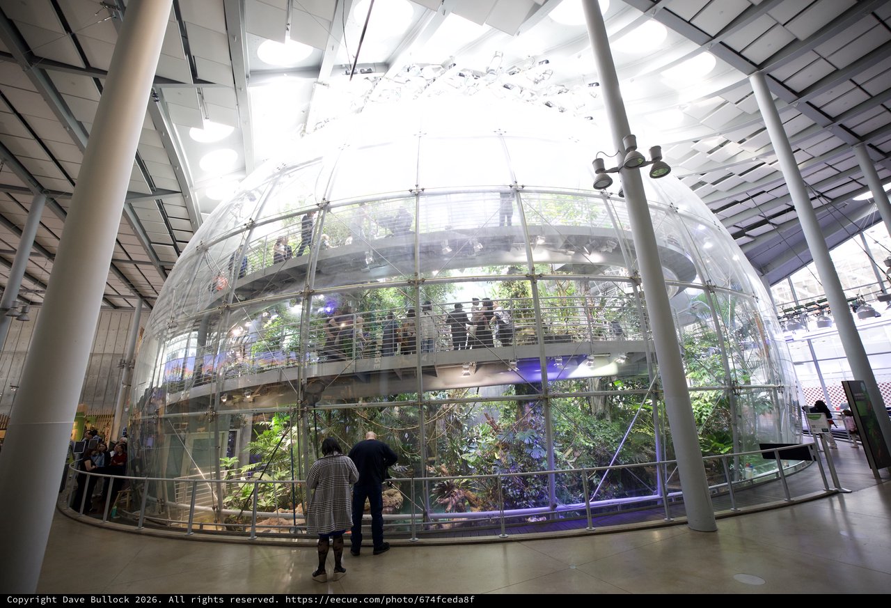 Transparent Spherical Rainforest Ecosystem Installation in Modern Museum