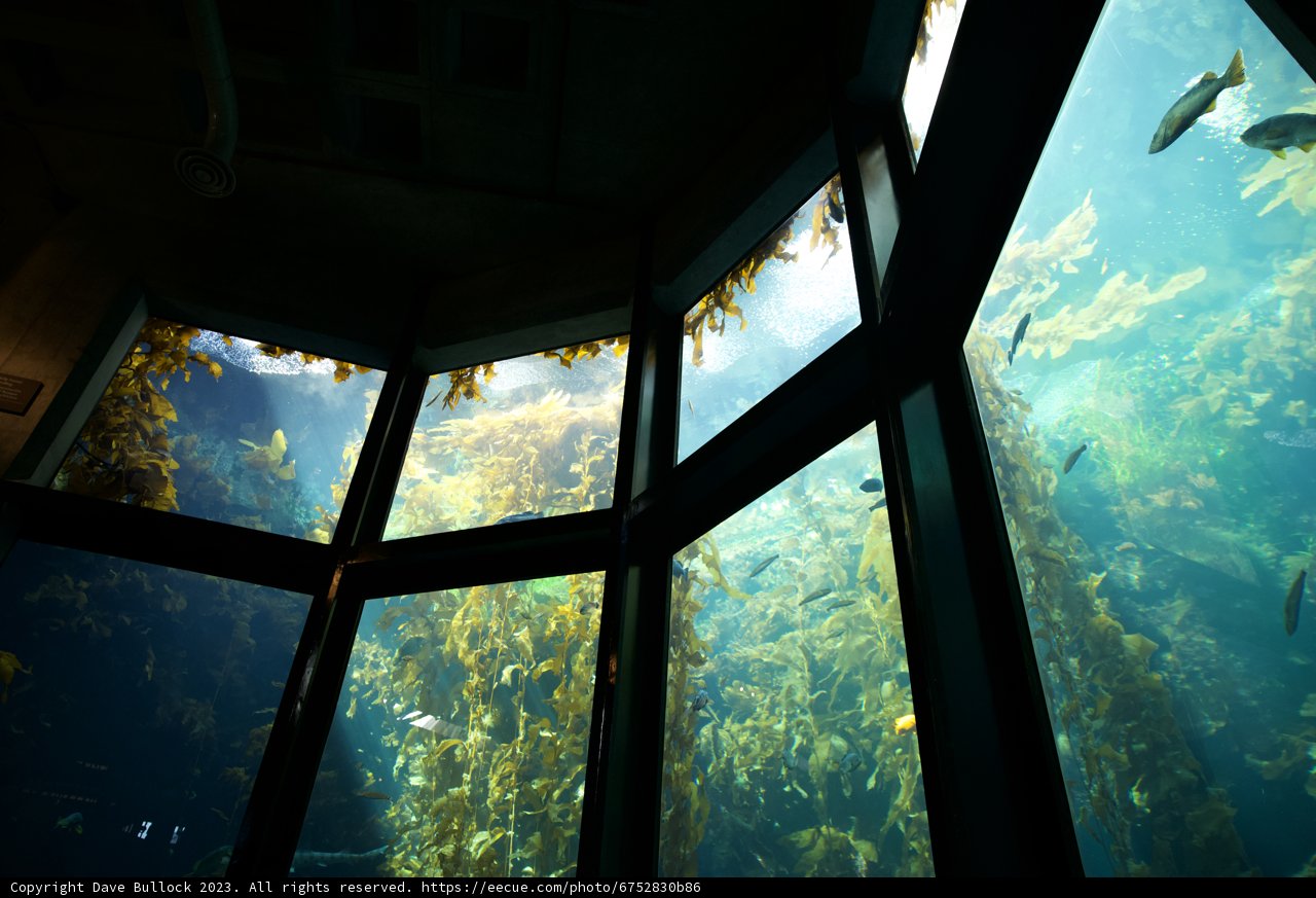 Looking into the Ocean Depths from Monterey Bay