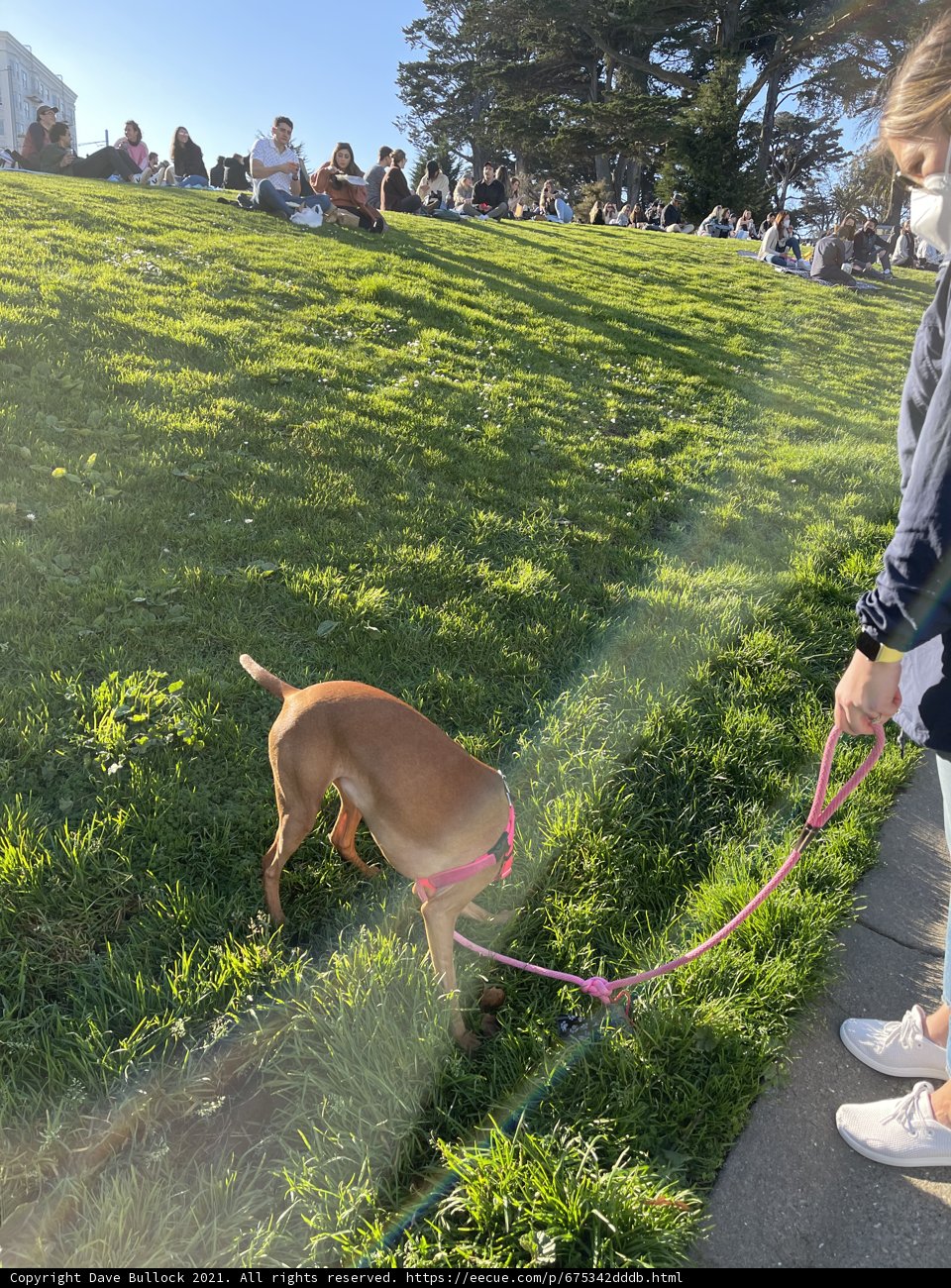 A Walk in the Park