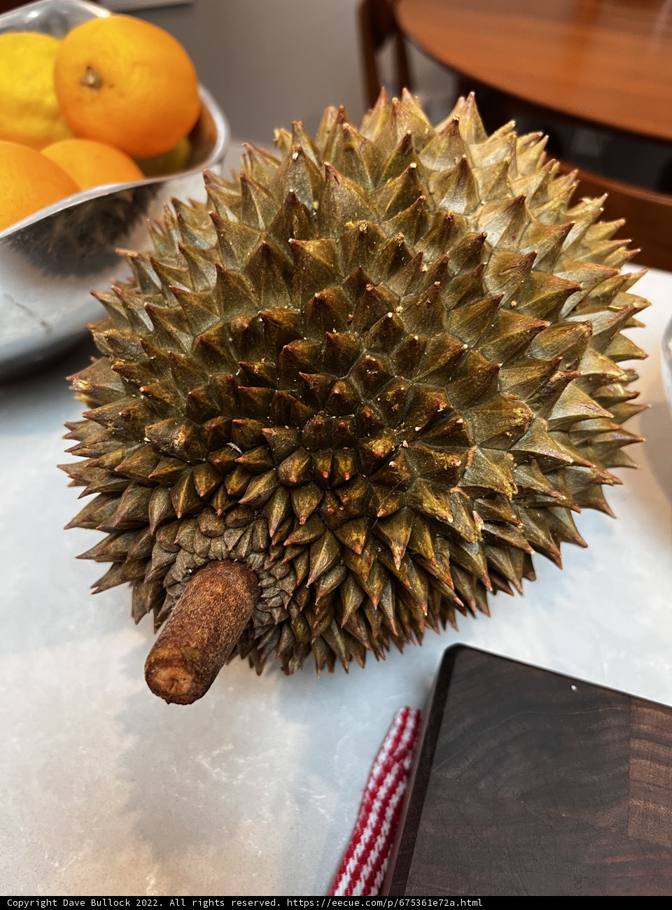 The King of Fruits