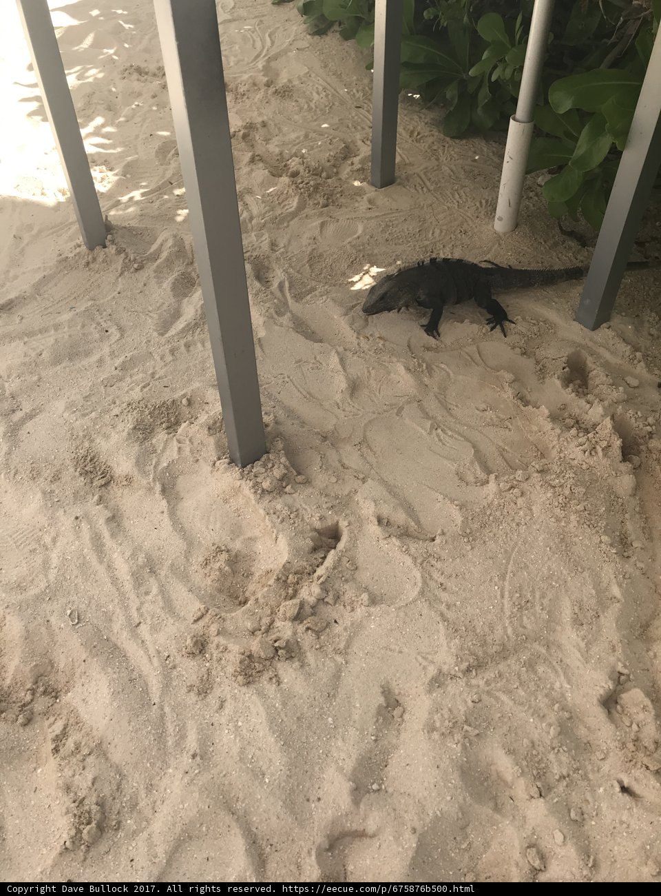Under the Table