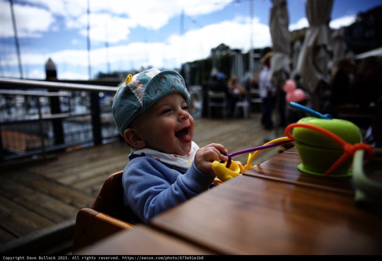 Little Explorer's Brunch