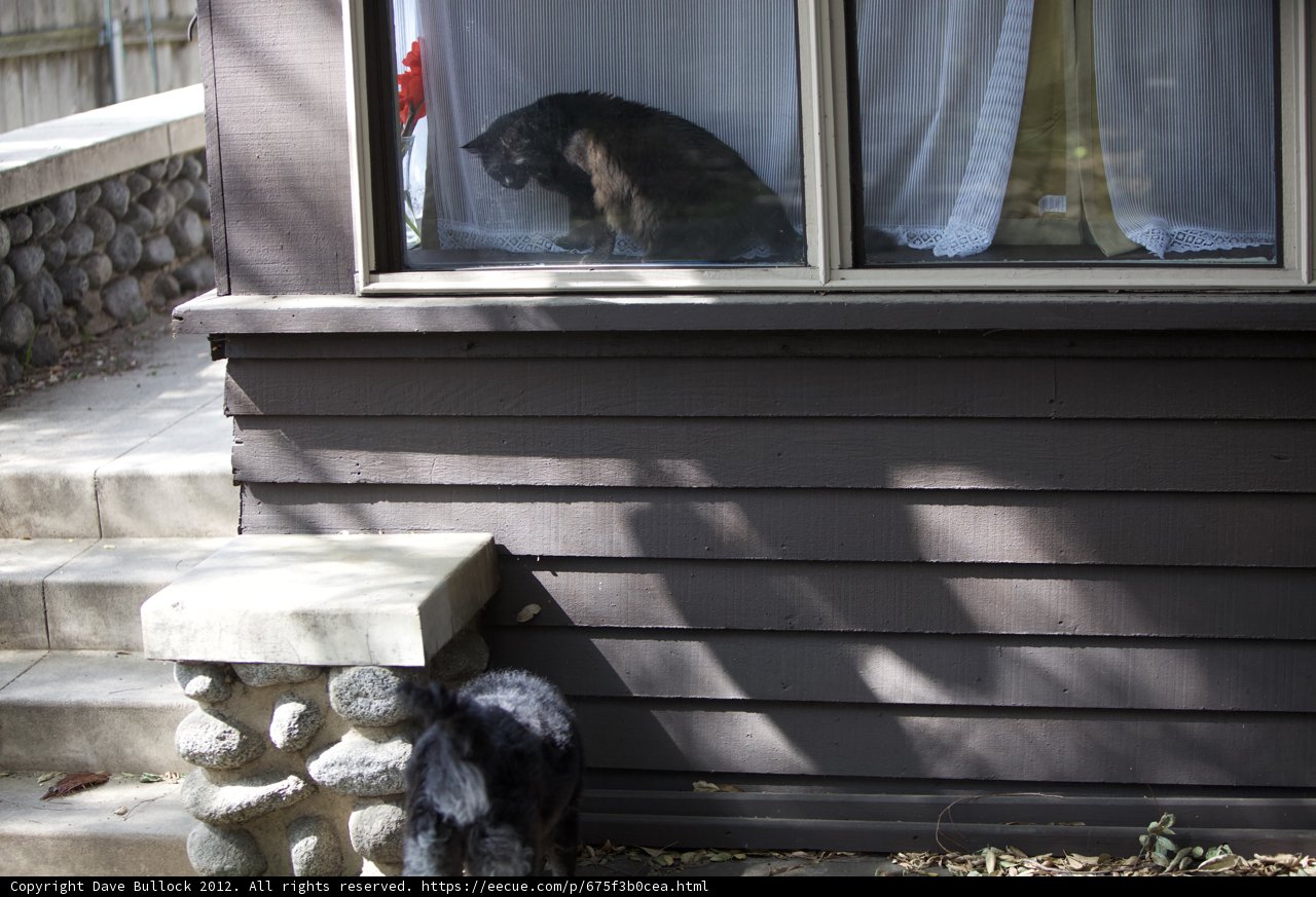 Porch Pals