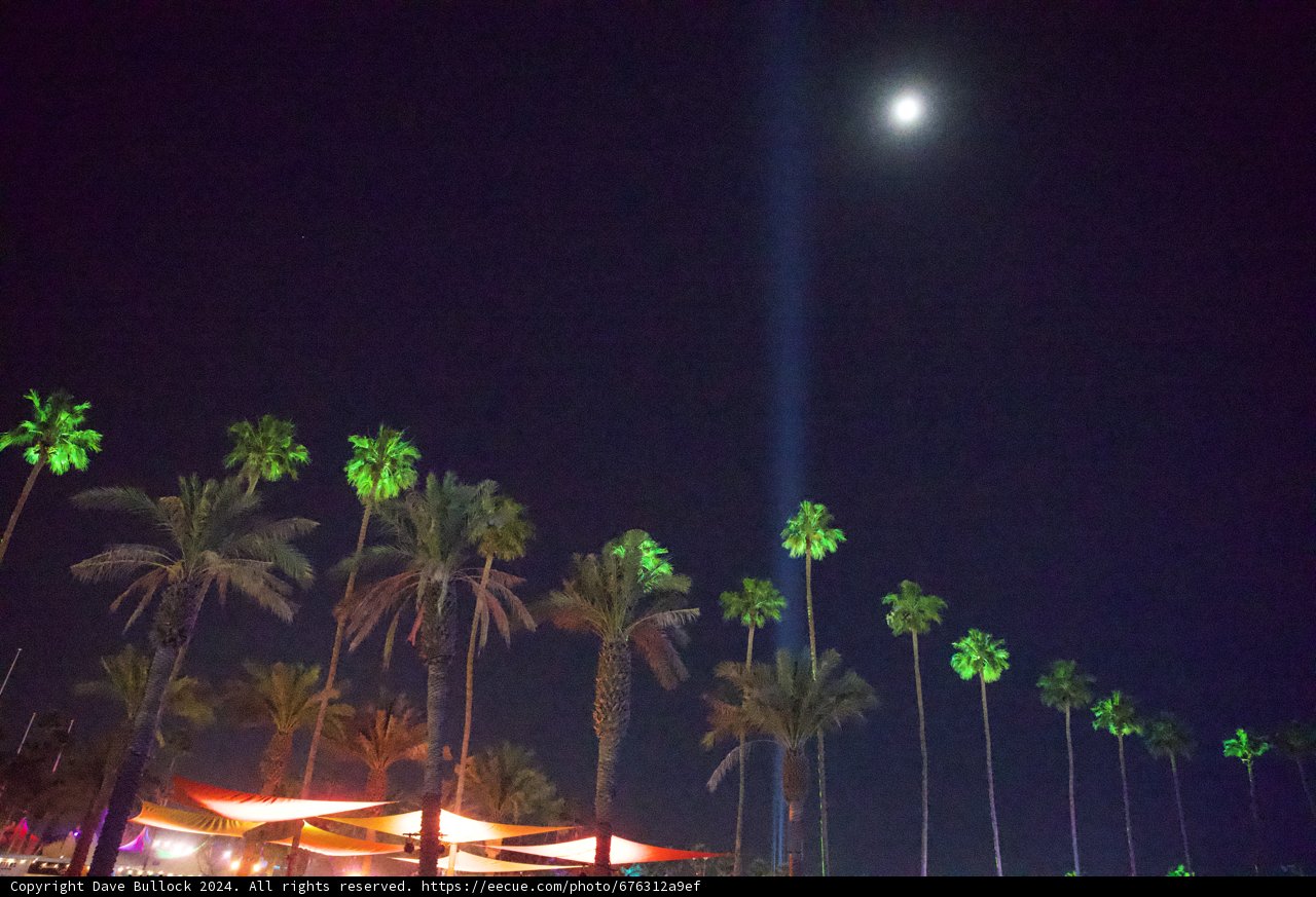 Moonlit Palms at Coachella