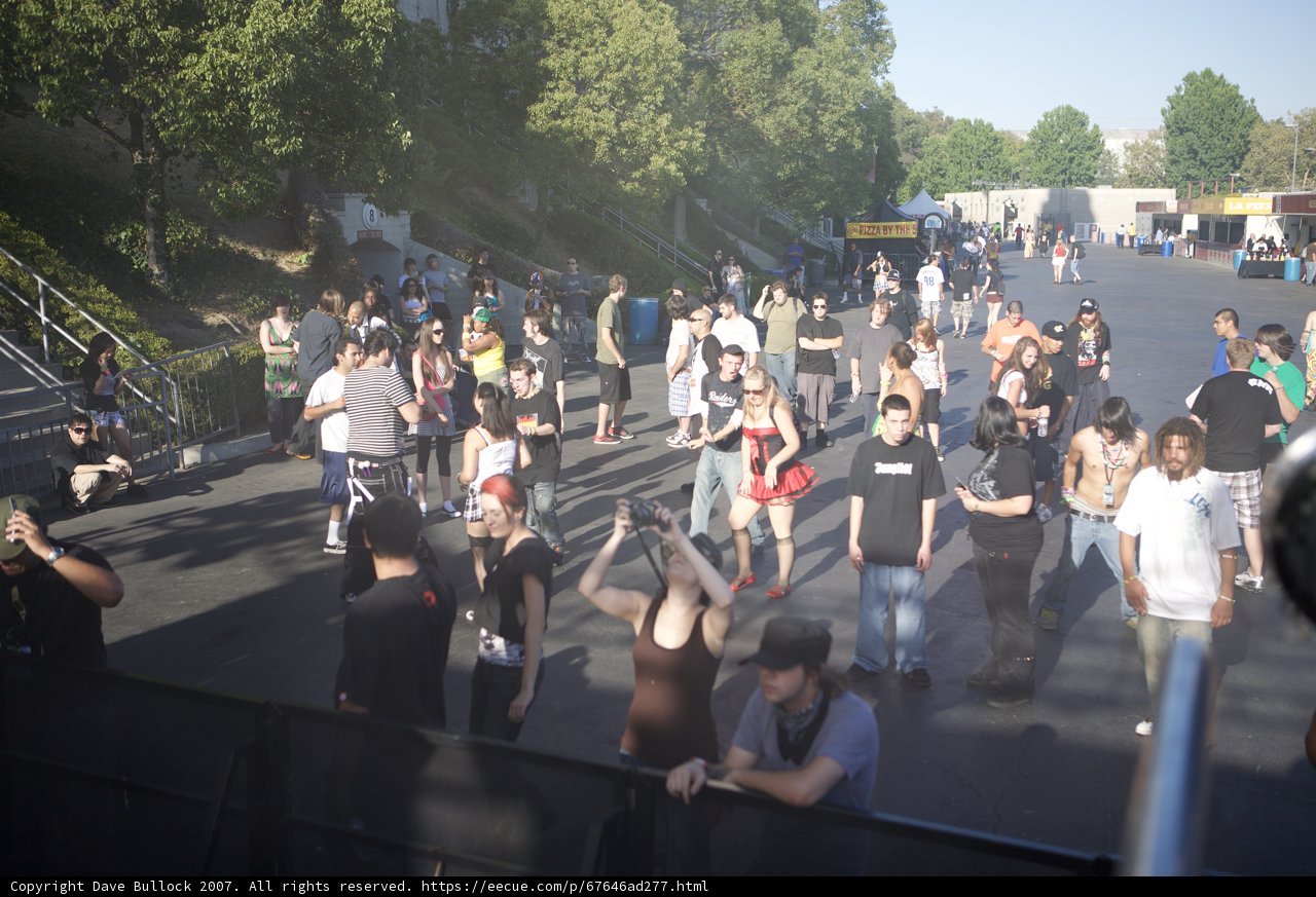 A Sea of People