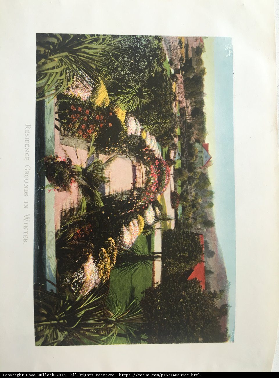 A Serene Oasis in The Broad Garden