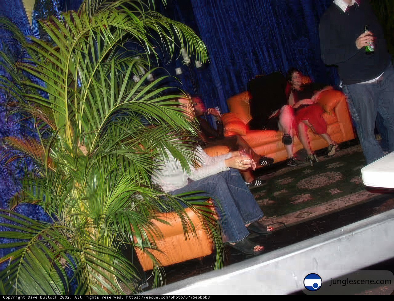 Indoor Living Room Gathering