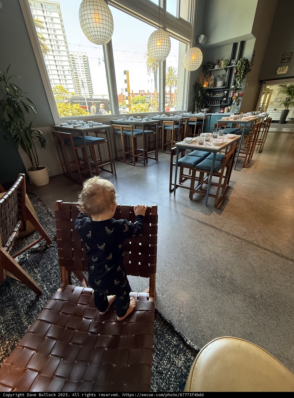 Curious Exploration