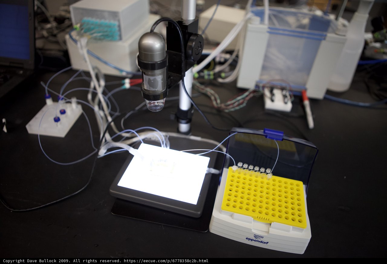 Microscope and Computer Setup in UCLA Micro Bio Chip Lab