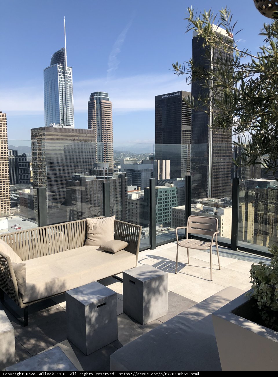 Cityscape Oasis