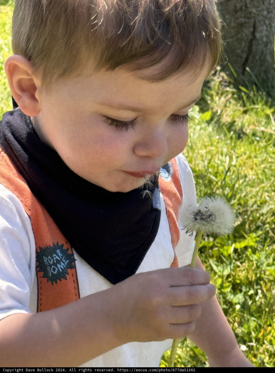 Whispers to the Wind