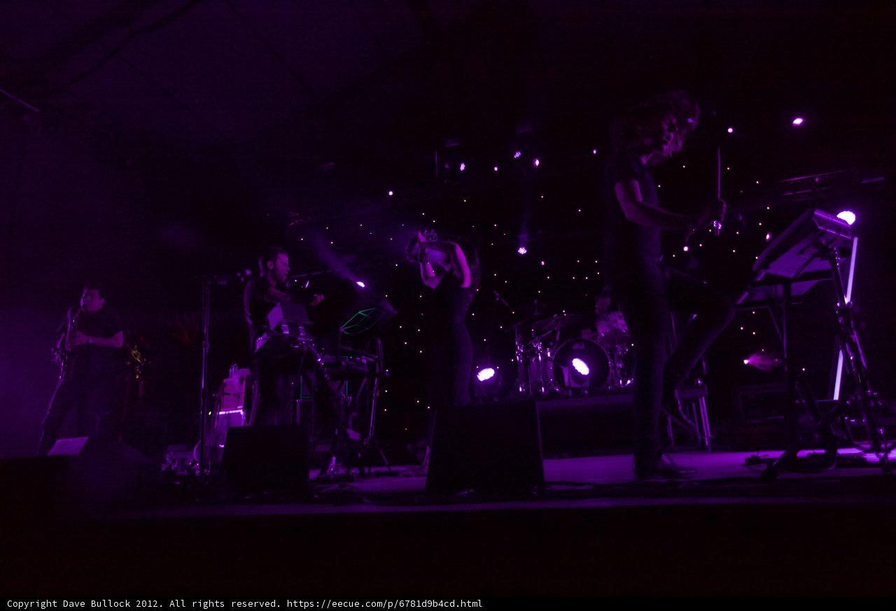 Rocking Out Under the Purple Lights