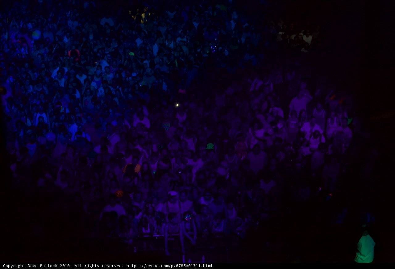 Purple Haze at the Nightlife Club
