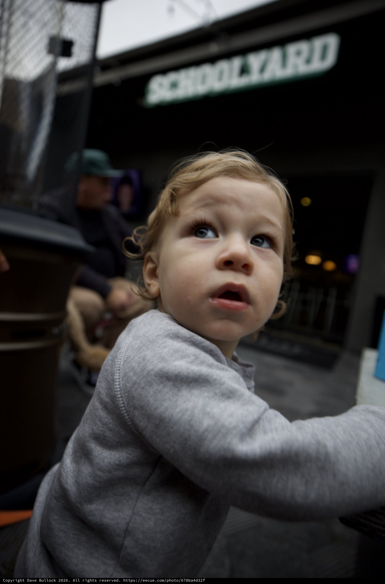 Young Child Gazing Up in Urban Street Setting