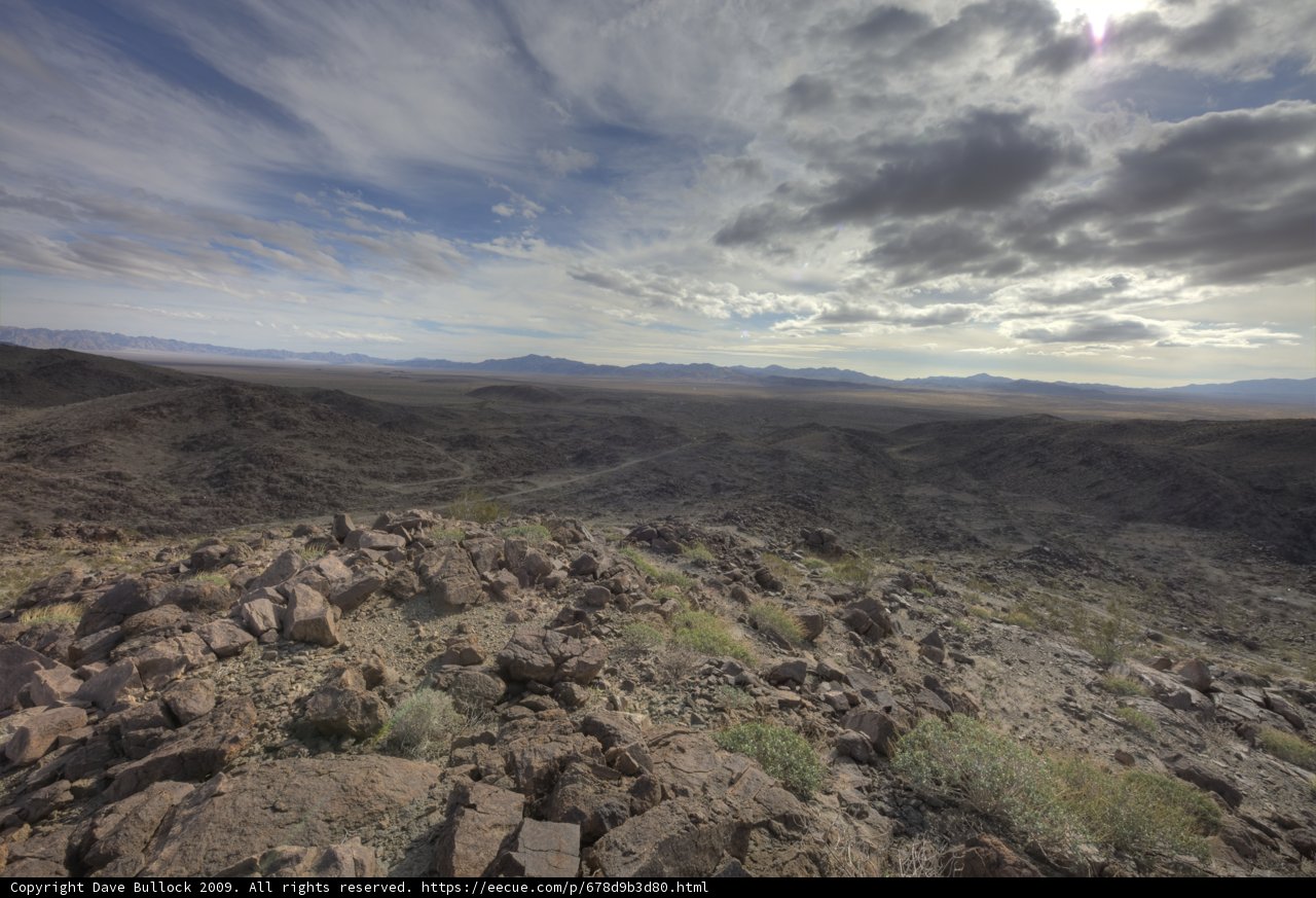 The Majestic View of the Joshua Tree Desert.