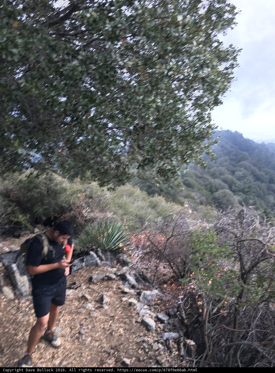Into the Wild