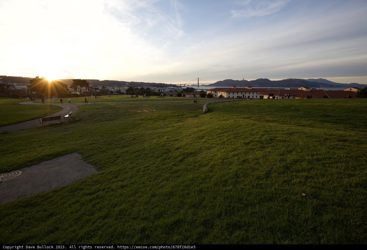 The Verdant Expanse: A Day at Fort Mason