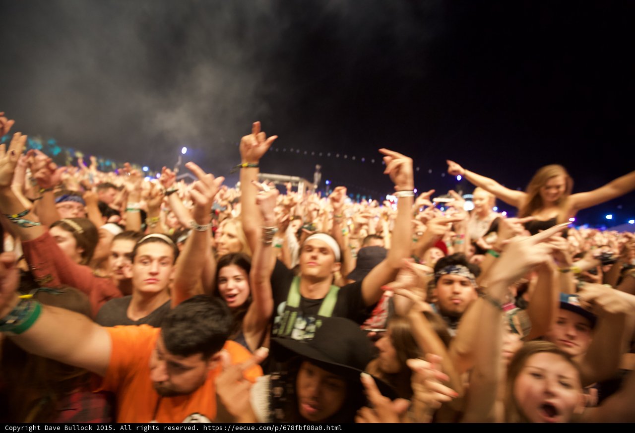 Hands Up in the Night Sky