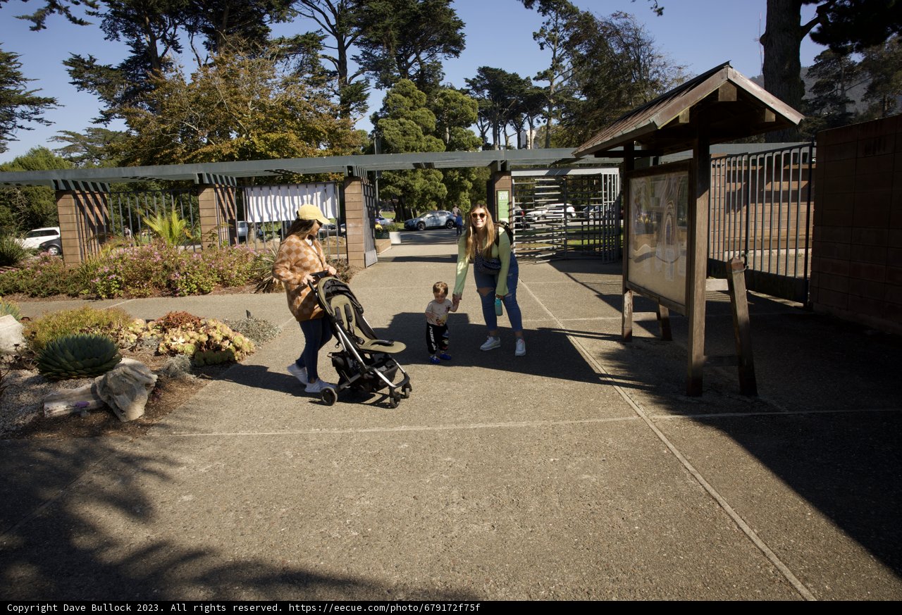 The Joyful Stroll: Motherhood in San Francisco