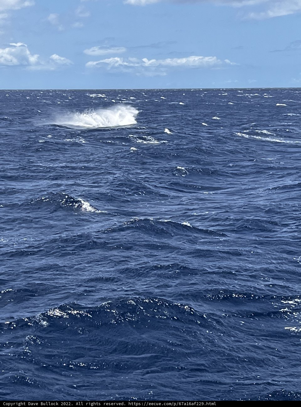 Majestic Ocean Waves