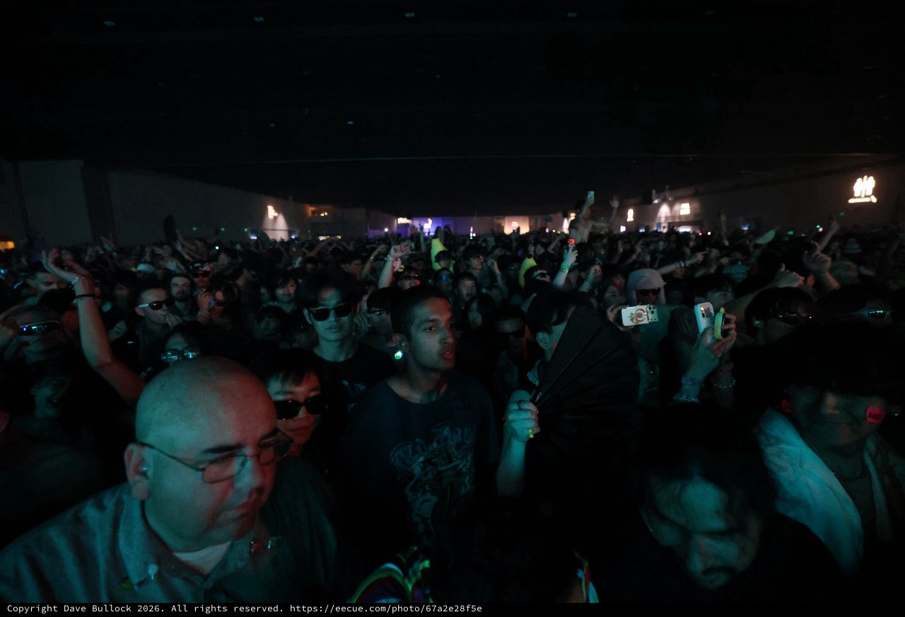 Massive Crowd Electric at Wobbleland 2026 Festival