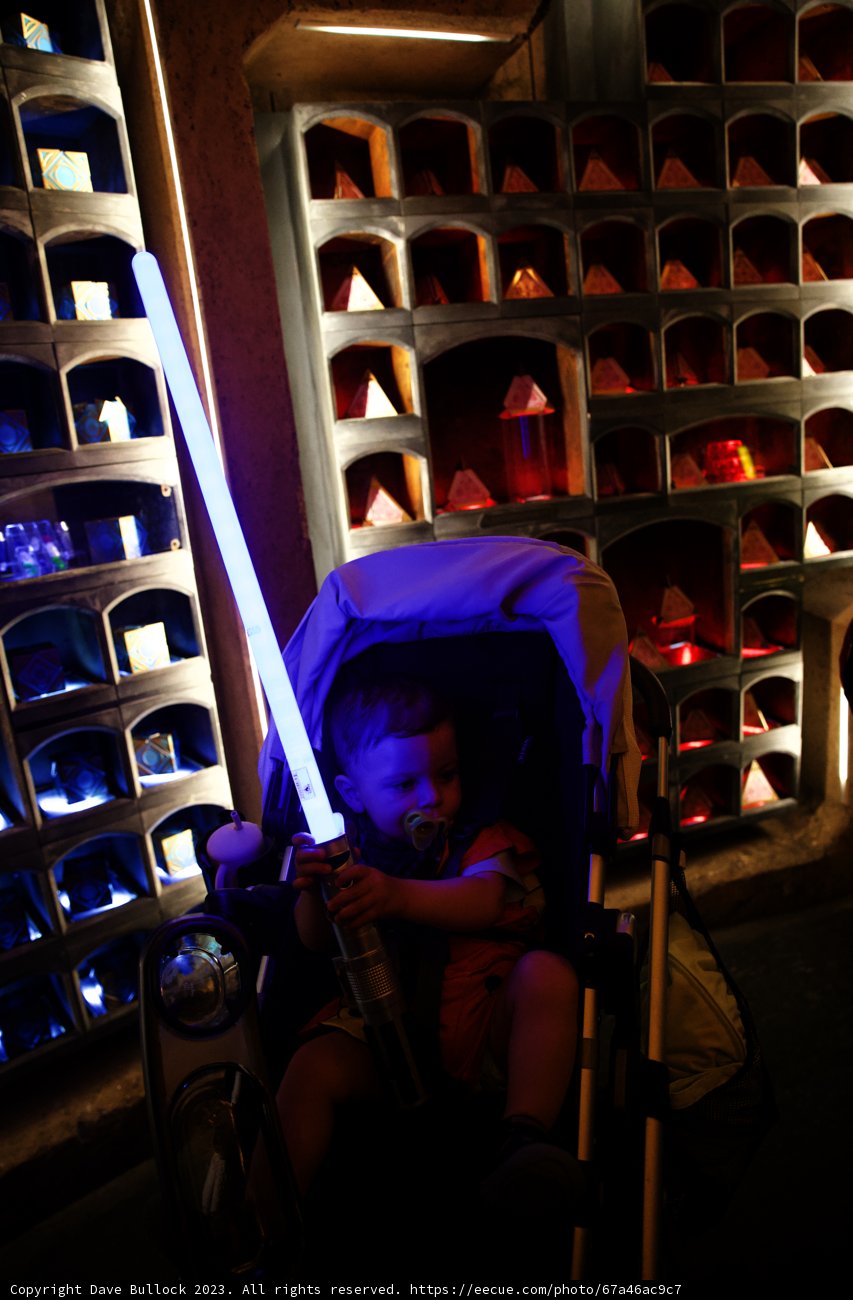The Young Jedi at Disneyland