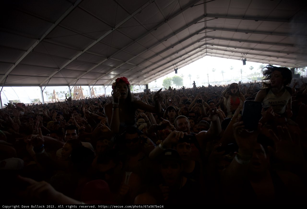 Electric Crowd at Coachella