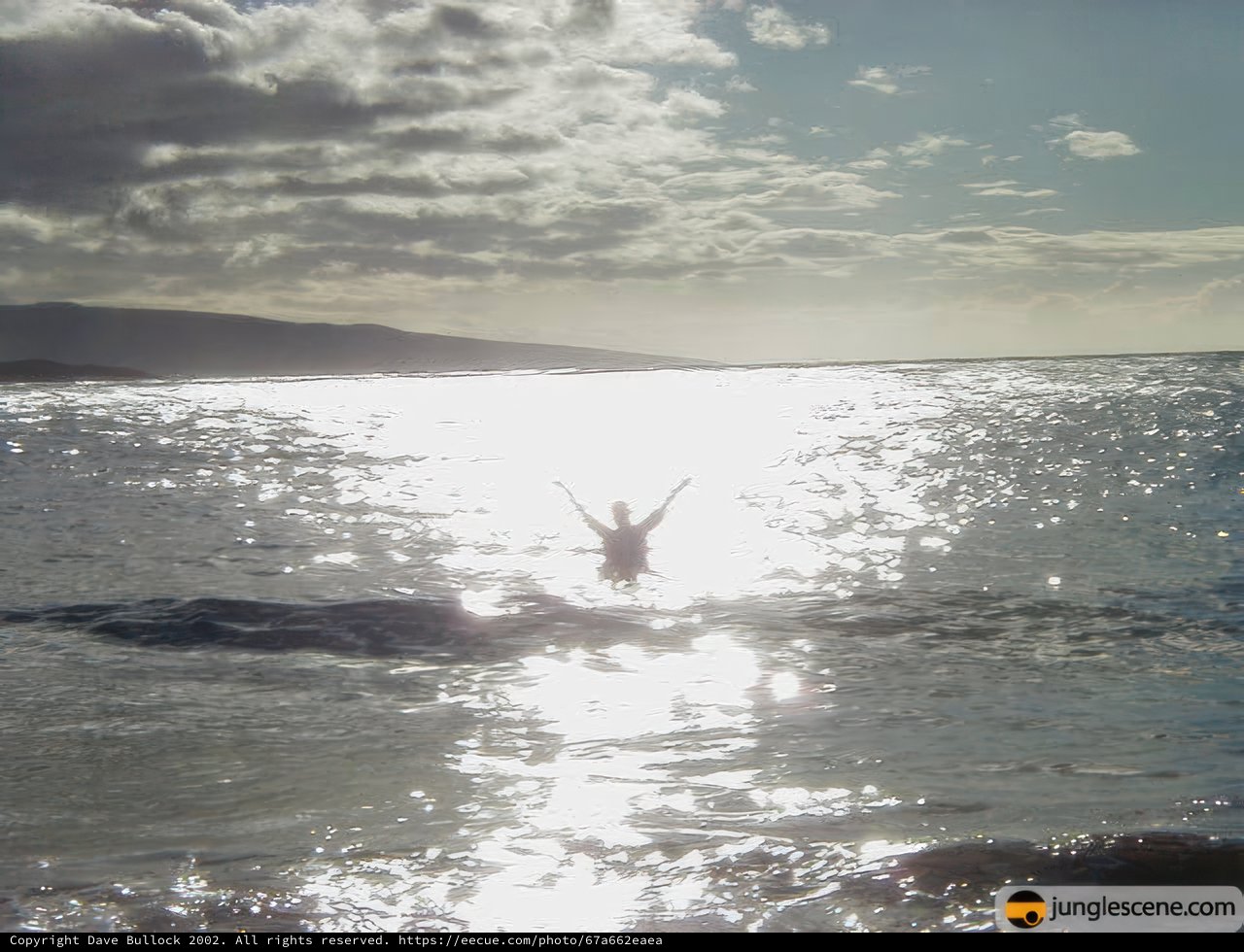 Ocean Bliss