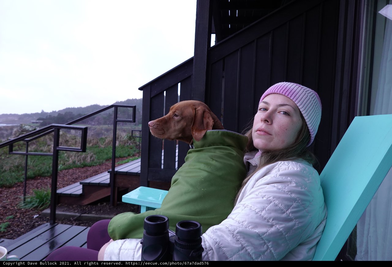 Woman and Dog Relaxing on Outdoor Deck