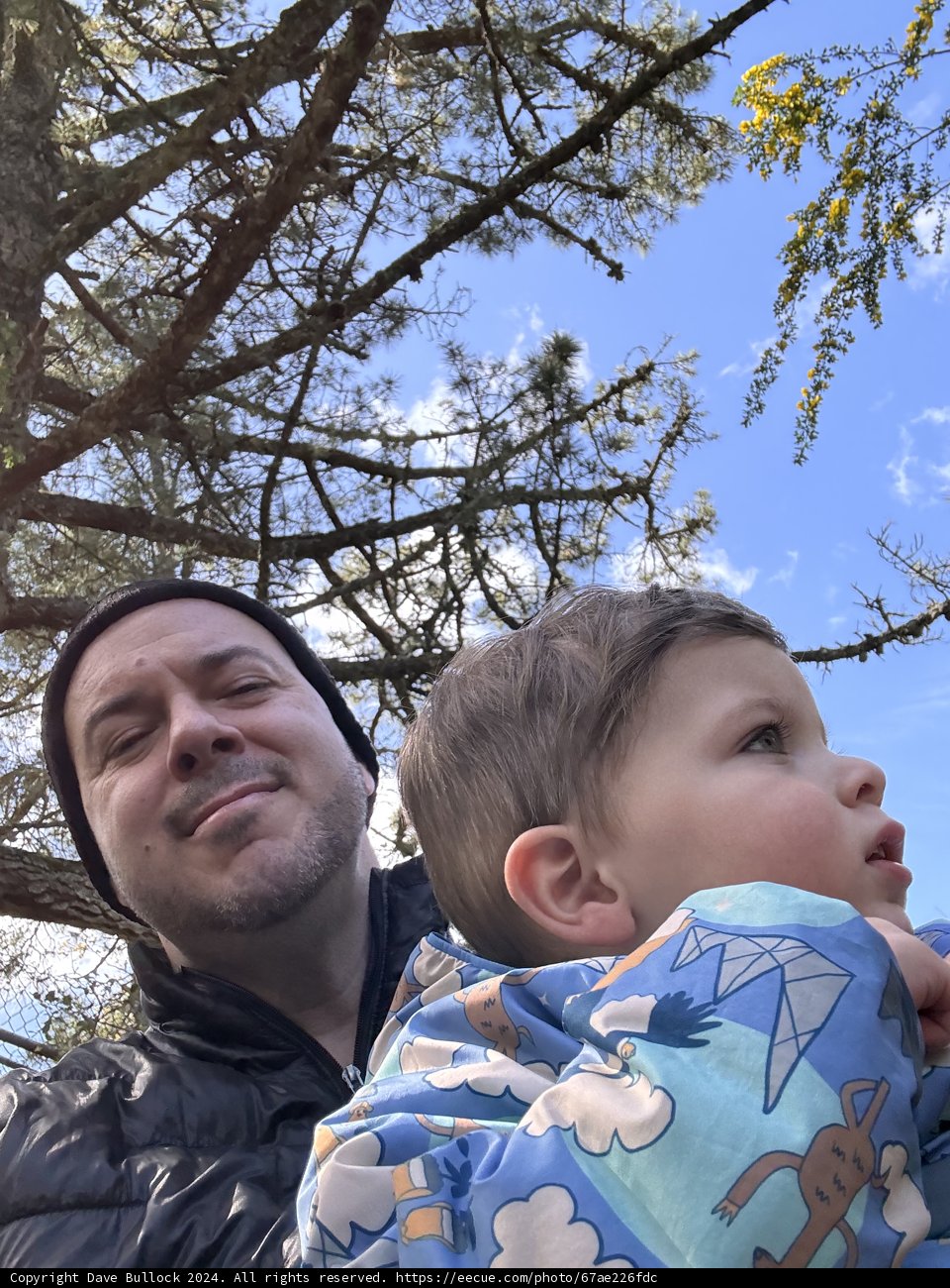 Exploring Nature's Playground