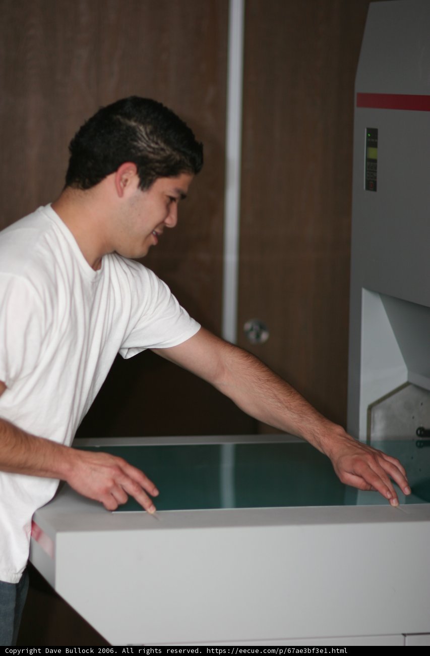 The White Tee Guy