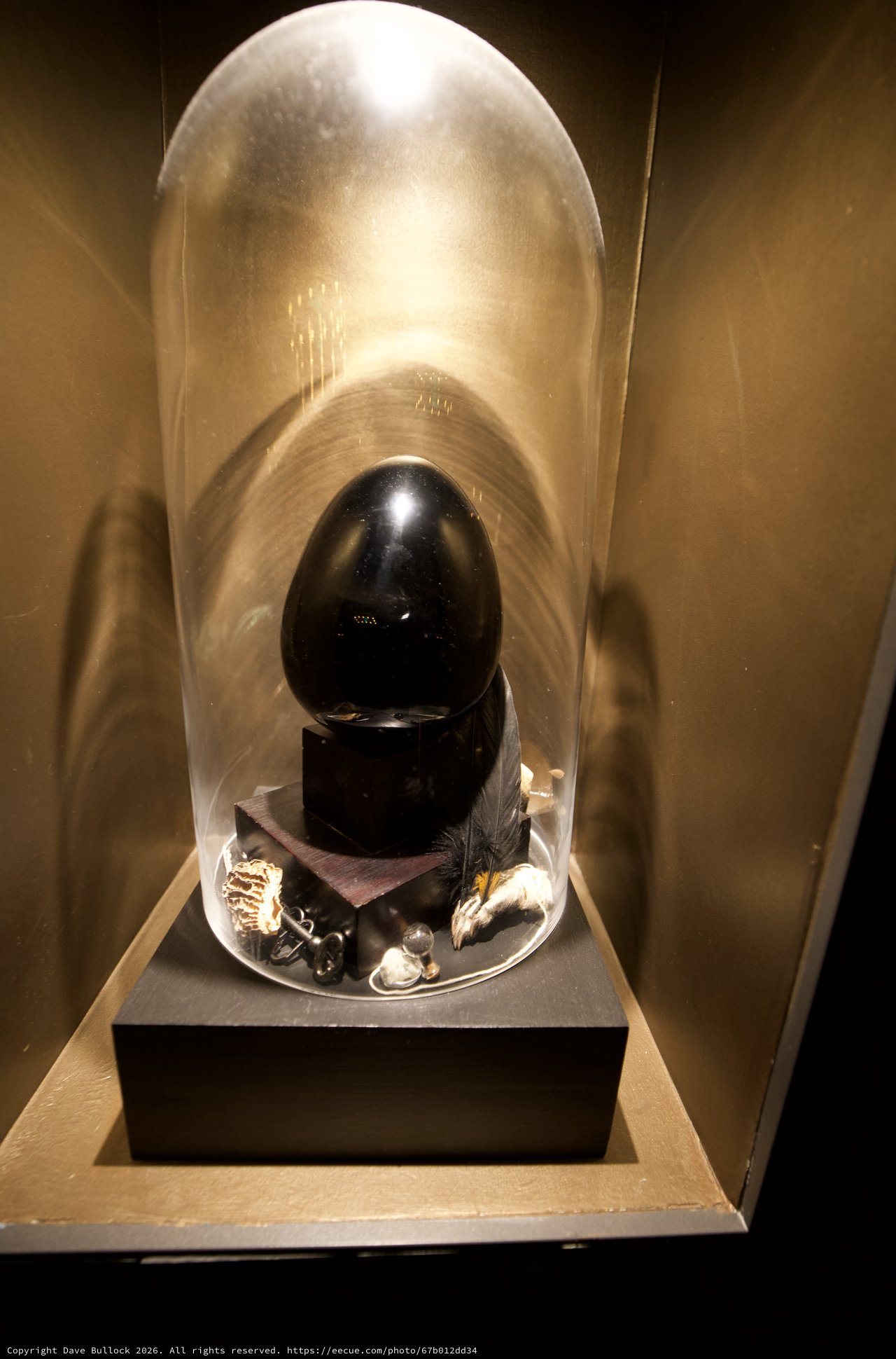 Black Egg Sculpture Under Glass Display