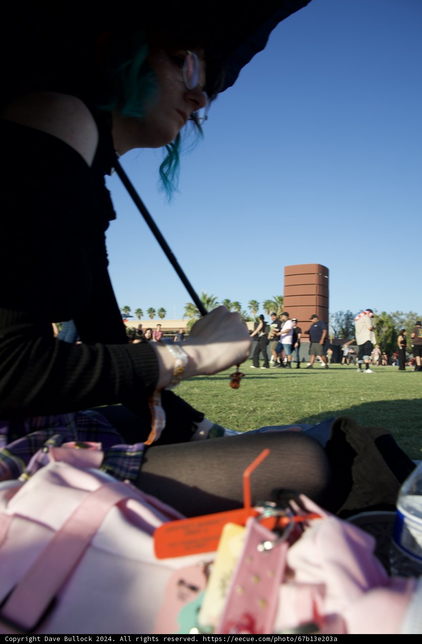 Eccentric Elegance at Coachella 2024