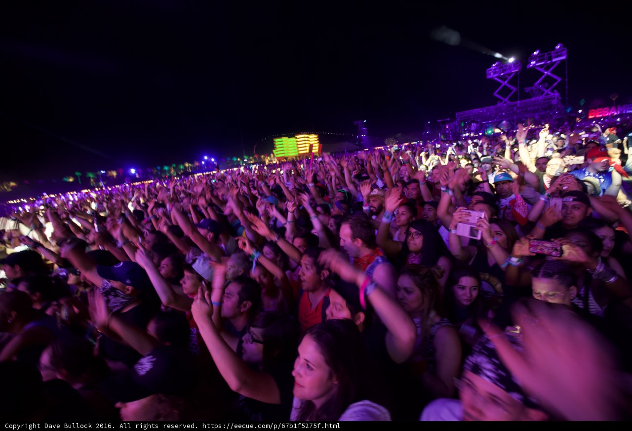 Hands Up for the Nightlife
